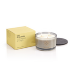 Max Benjamin - 3-Wick Geurkaars - Lemongrass & Ginger