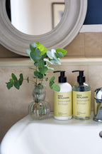 Max Benjamin - Hand & Body 300ml - Lemongrass & Ginger